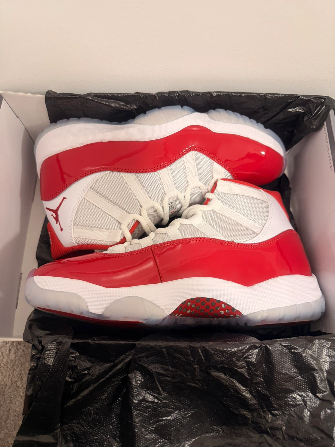 Air Jordan 11 Cherry - photo 2