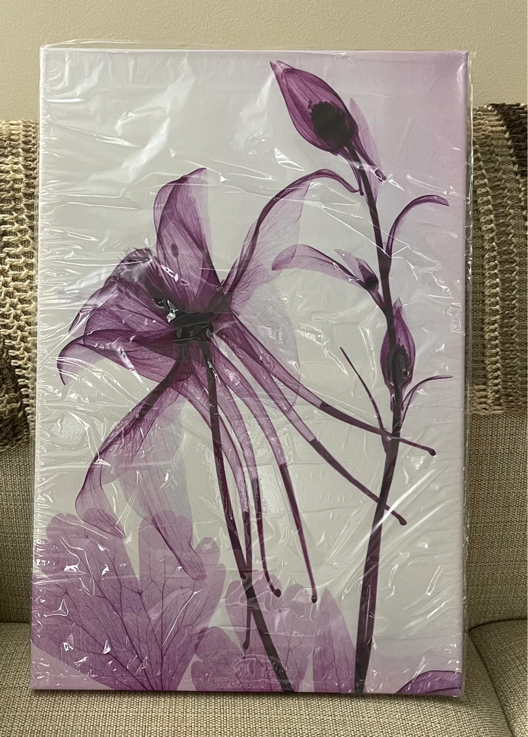 Brand New Set of 3 Floral Canvas Wall Art - Purple - photo 4