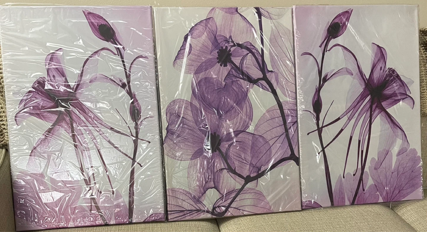 Brand New Set of 3 Floral Canvas Wall Art - Purple - photo 2