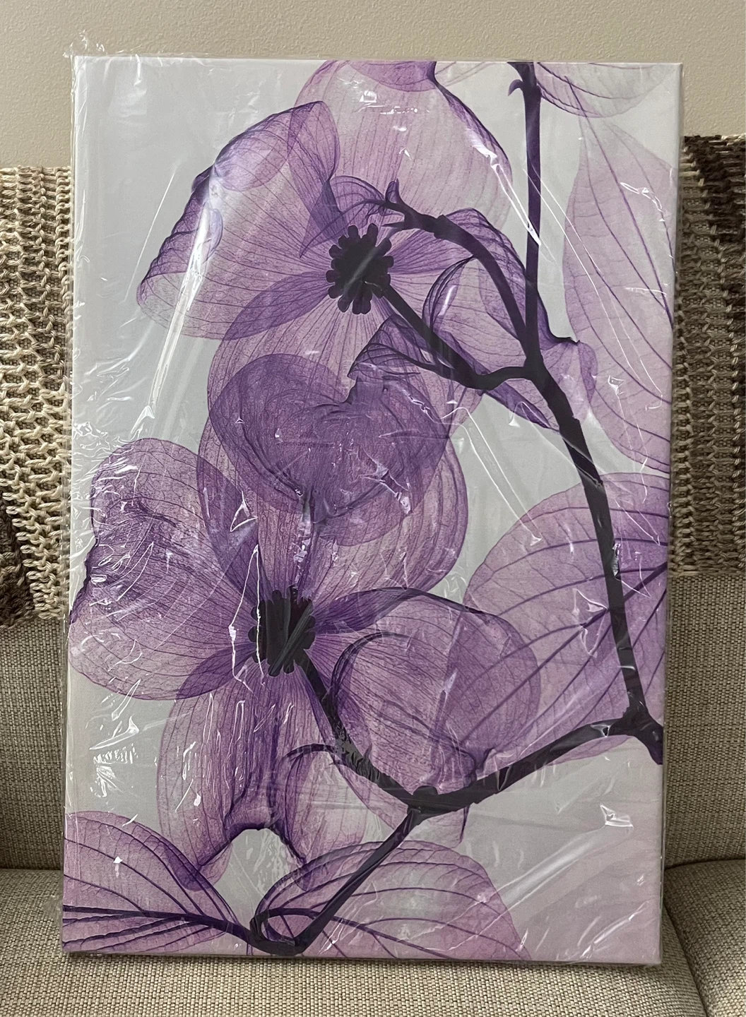Brand New Set of 3 Floral Canvas Wall Art - Purple - photo 5