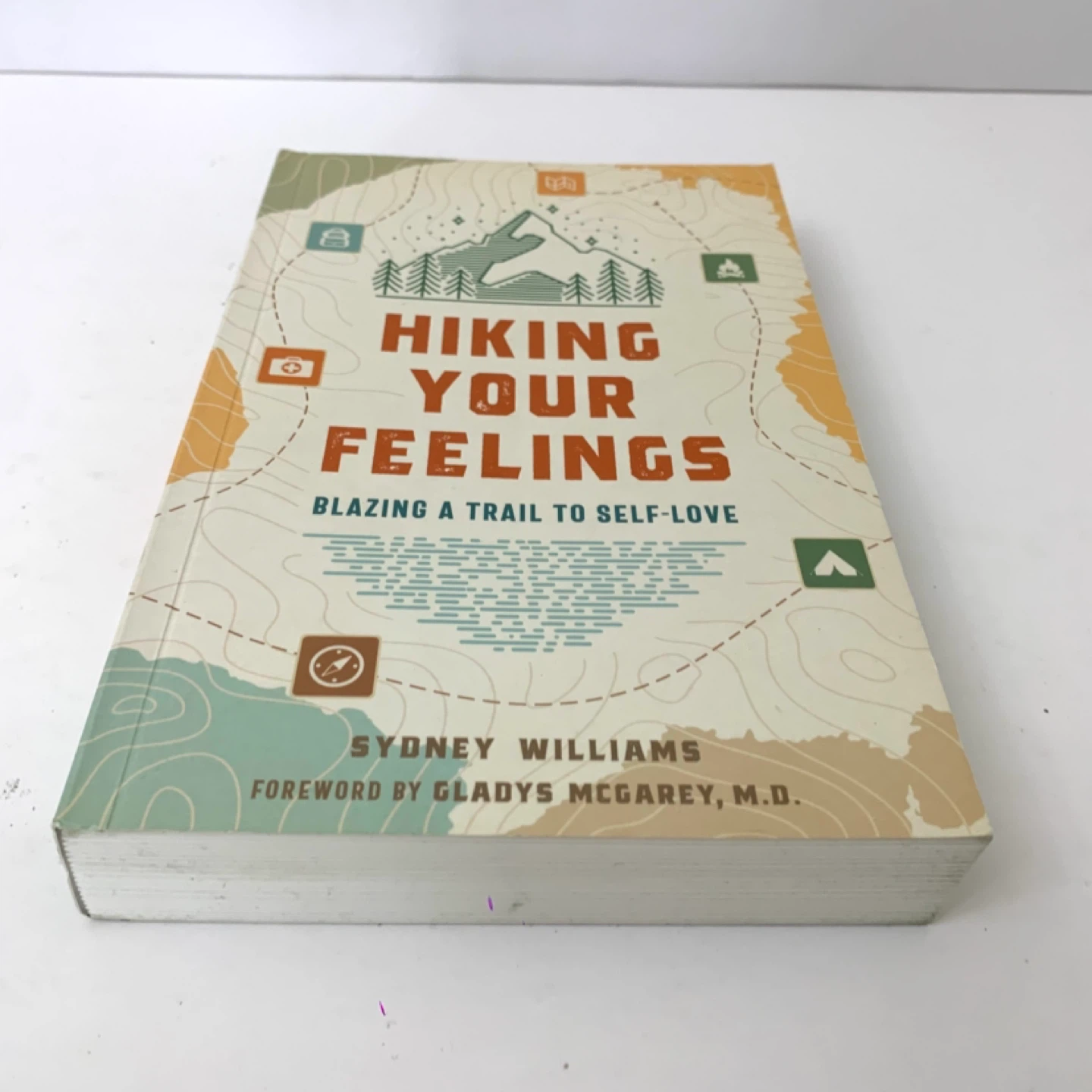 Self Love Book Hiking Your Feelings Personal Growth Guide Books - photo 2