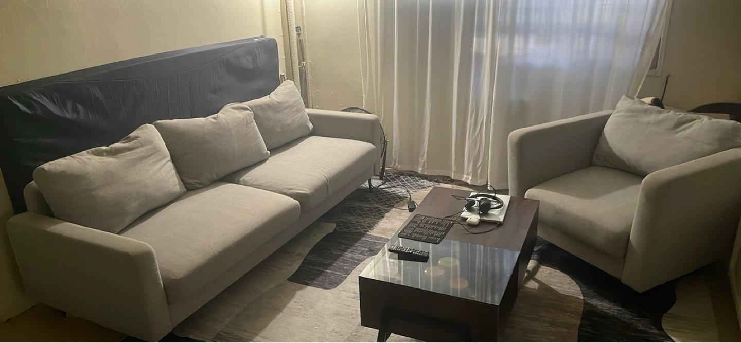 MOVING SALE - Gray Sofa and Accent chair from Inside Weather.