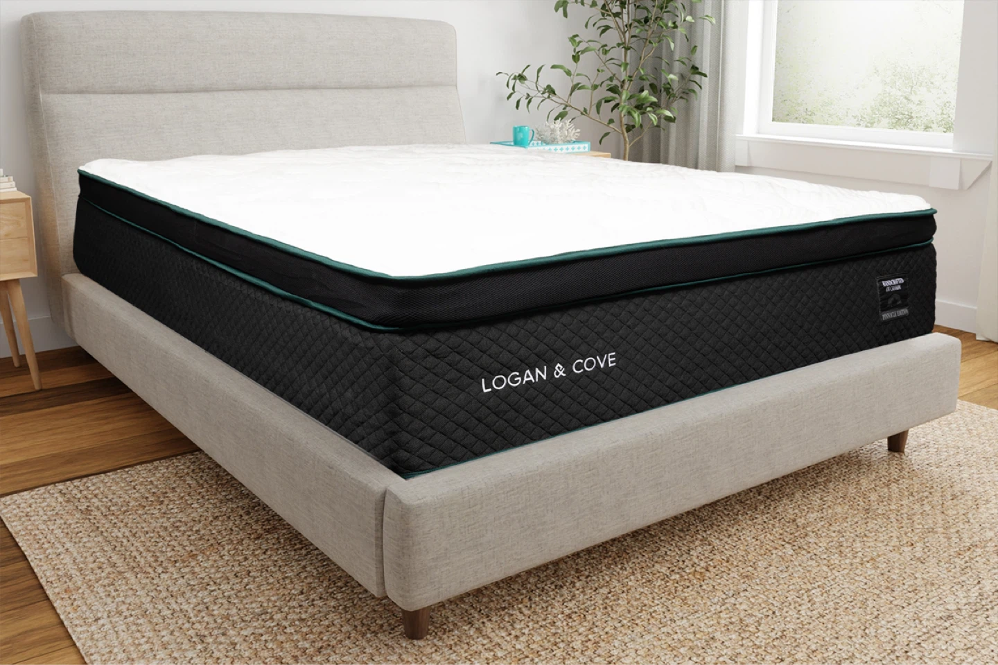 Twin Size Logan & Cove Mattress