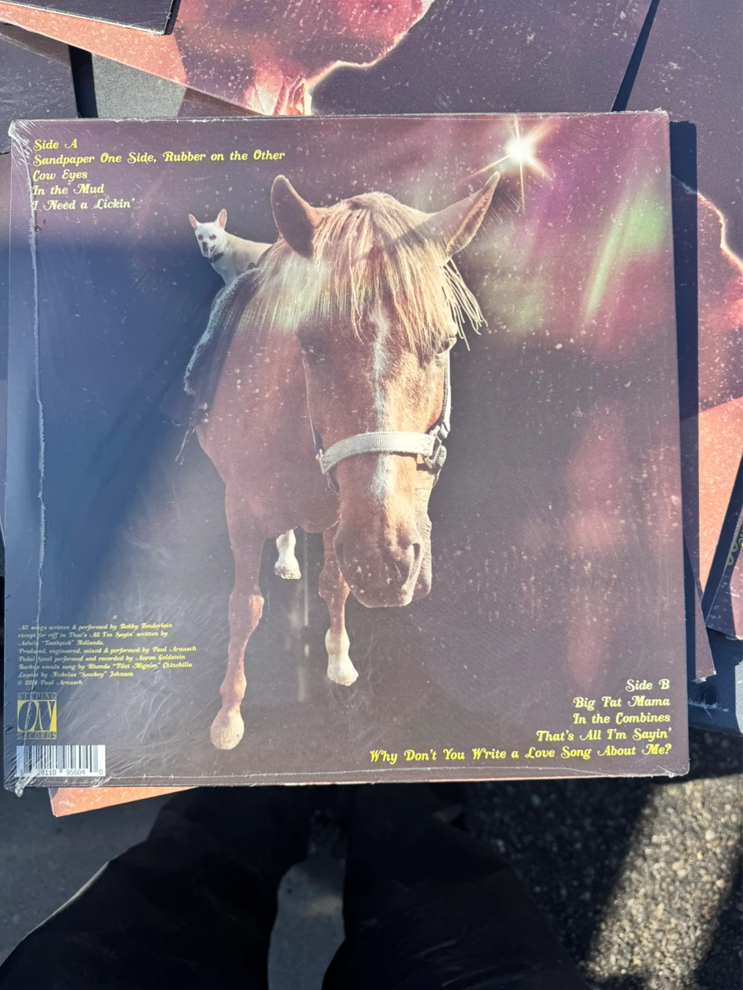 Bobby T. "All songs written by Bobby - photo 3