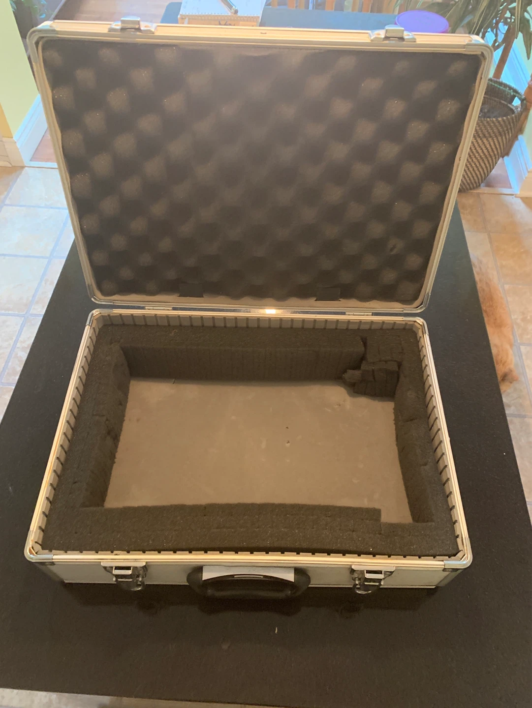 Silver Aluminum Case with Foam - photo 2