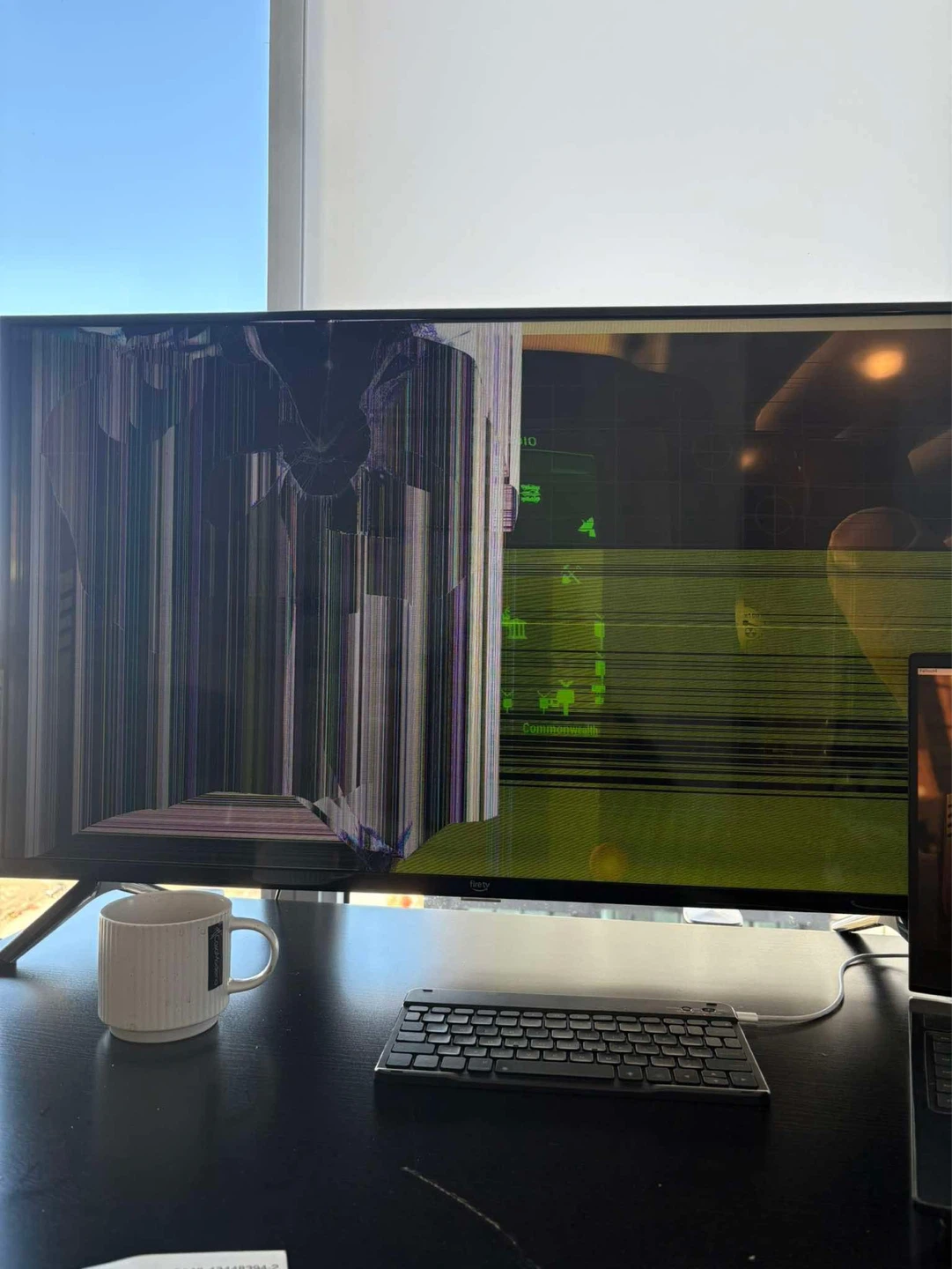 Fire TV Monitor - Damaged Screen