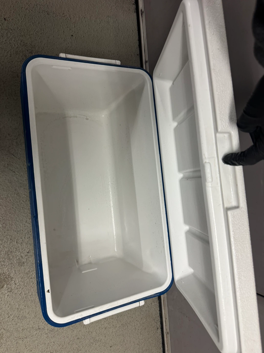 Coleman Blue Cooler - photo 3