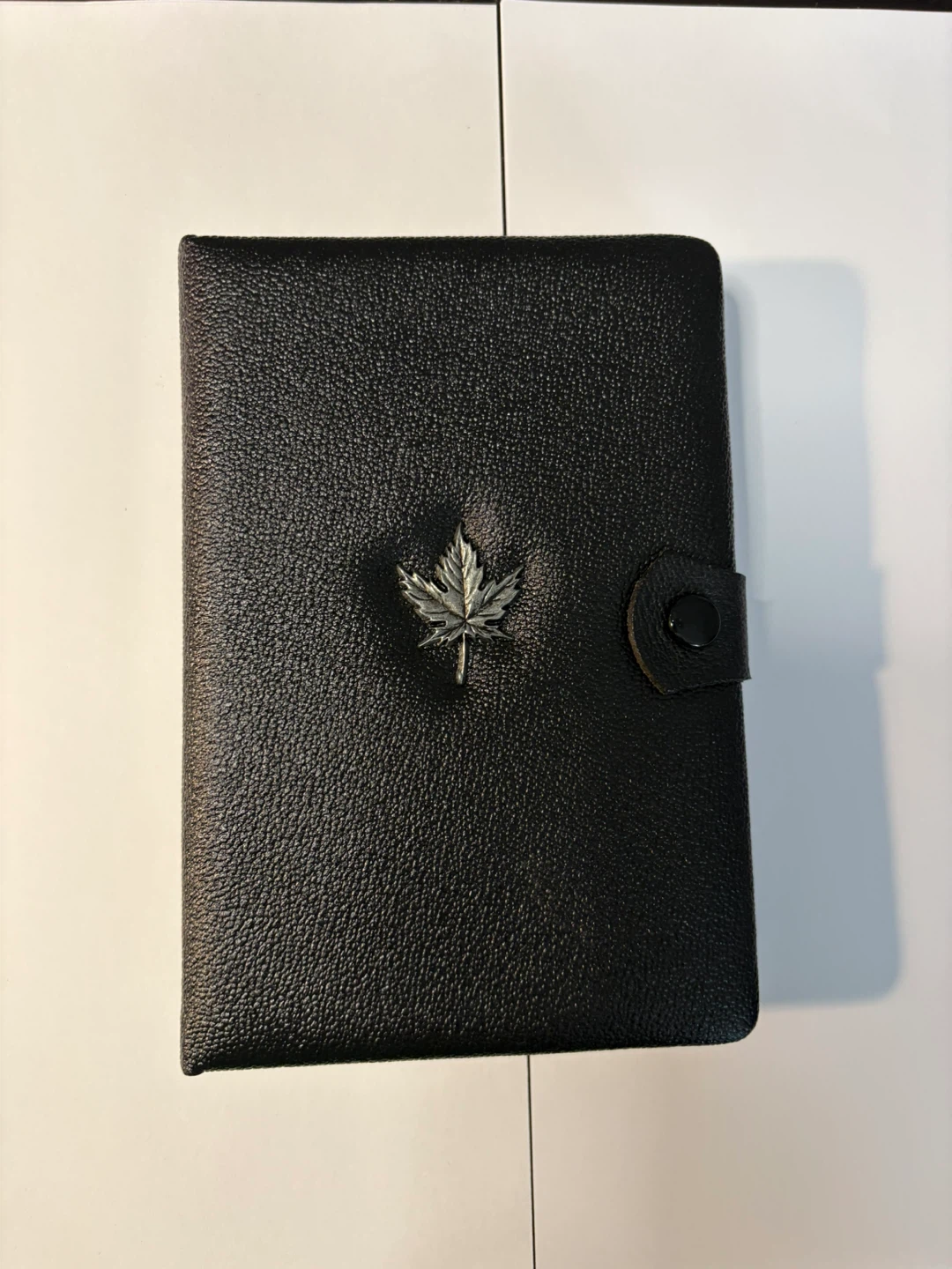 Royal Canadian Mint 1980 Coin Set - photo 5