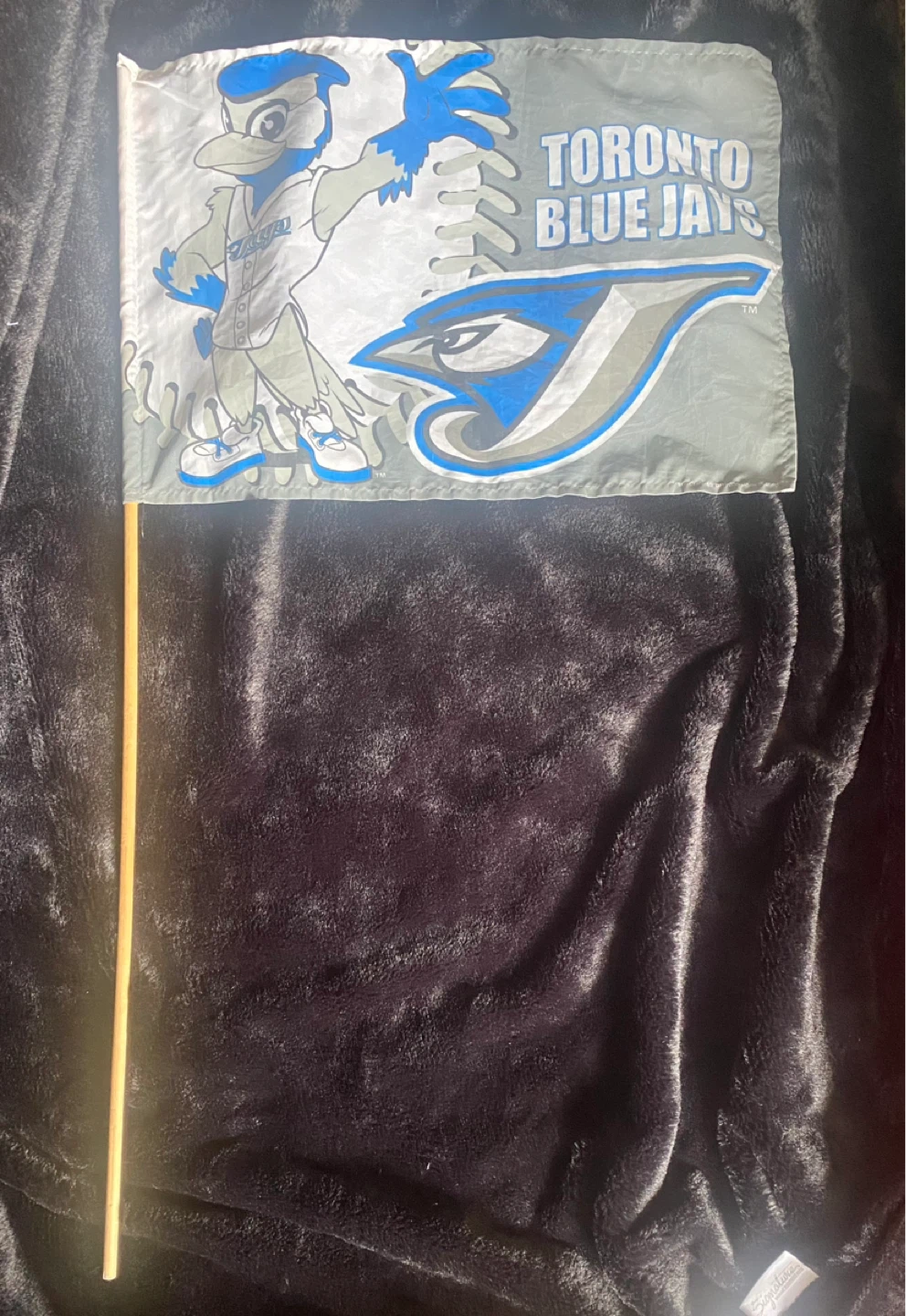 Official MLB Toronto Blue Jays Hand Flag – Vintage - photo 3