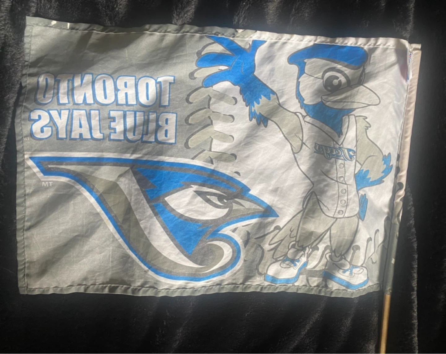 Official MLB Toronto Blue Jays Hand Flag – Vintage - photo 5