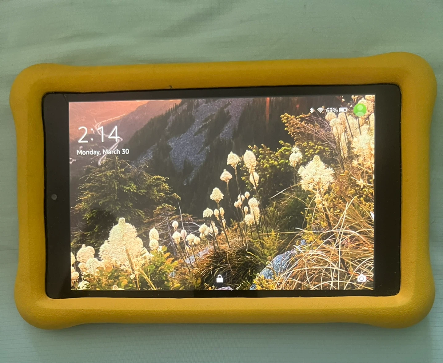Amazon Fire HD Kids Edition Tablet 7" Yellow Case - photo 2