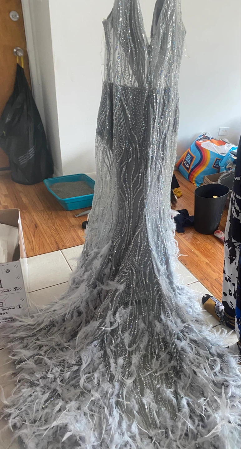 Sparkly Feather Embellished Gown - photo 2