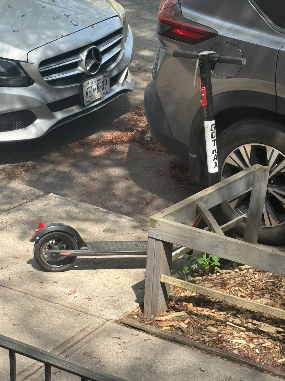 Gotrax Electric Scooter