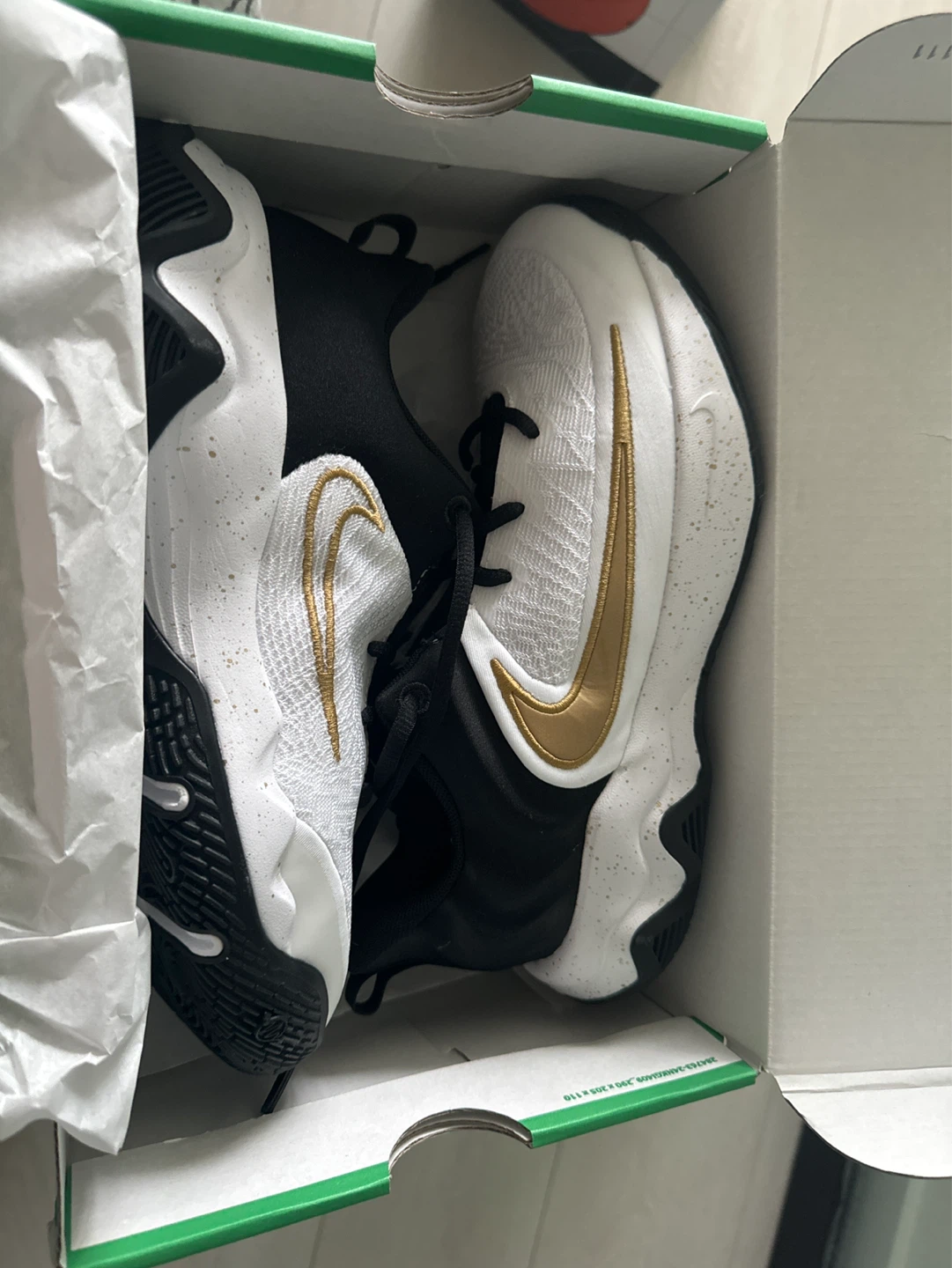 Nike Giannis Immortality 4 GS Basketball Shoes
