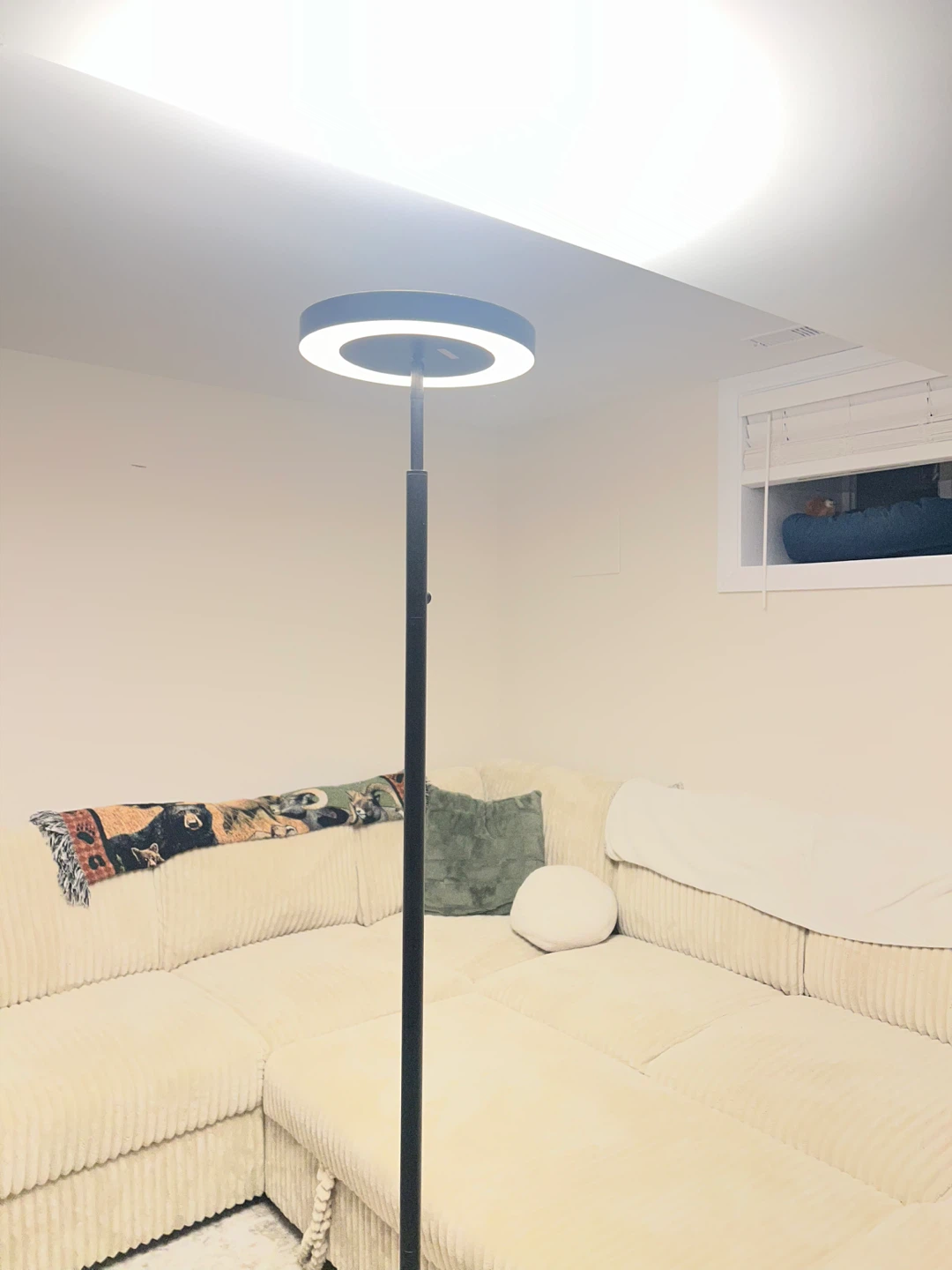 Ring Floor Lamp - photo 3