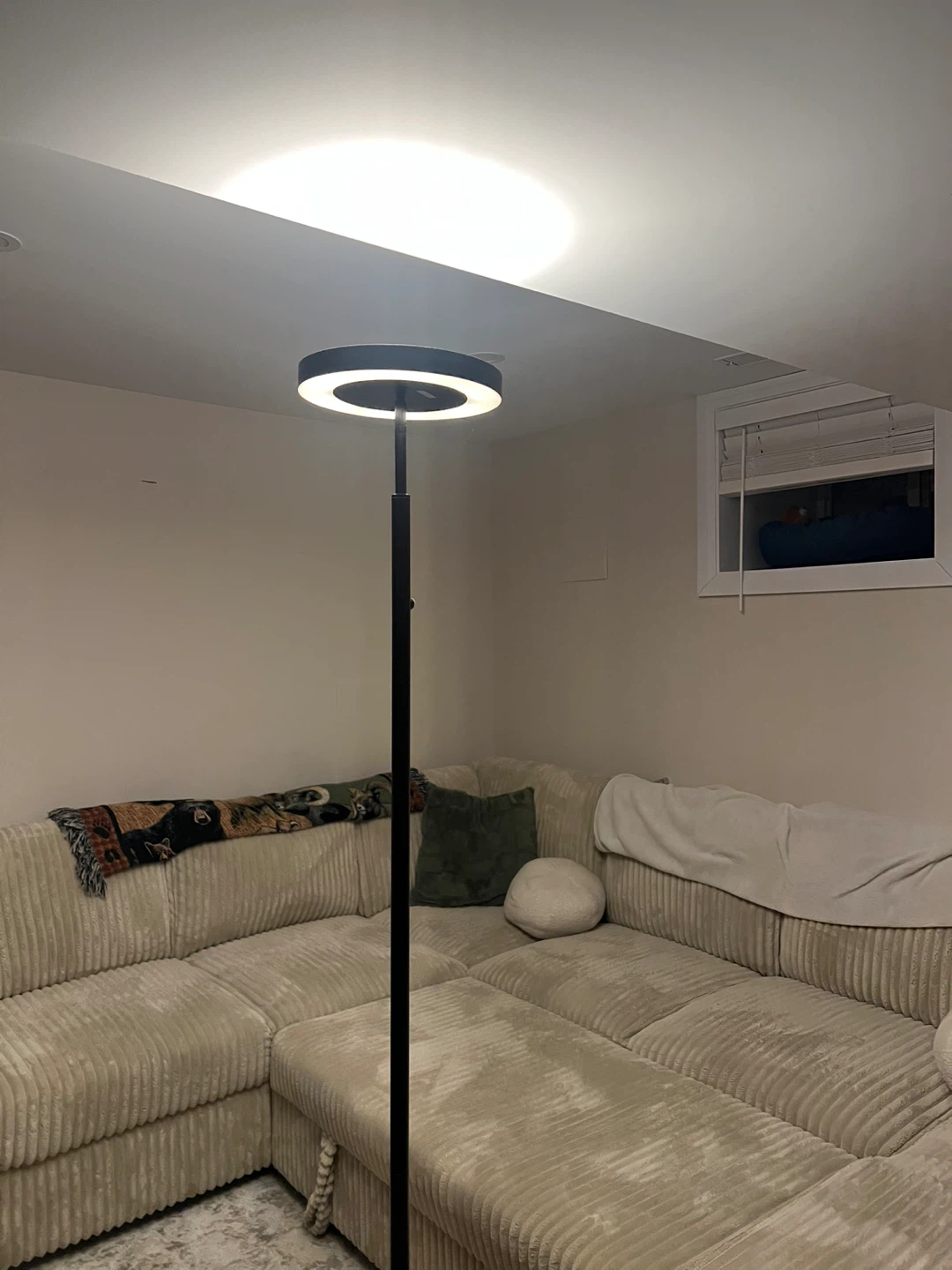 Ring Floor Lamp