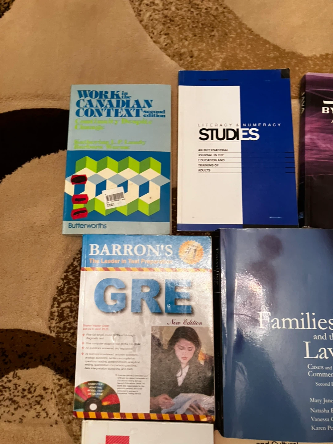 Assorted Textbooks and Study Guides - photo 2