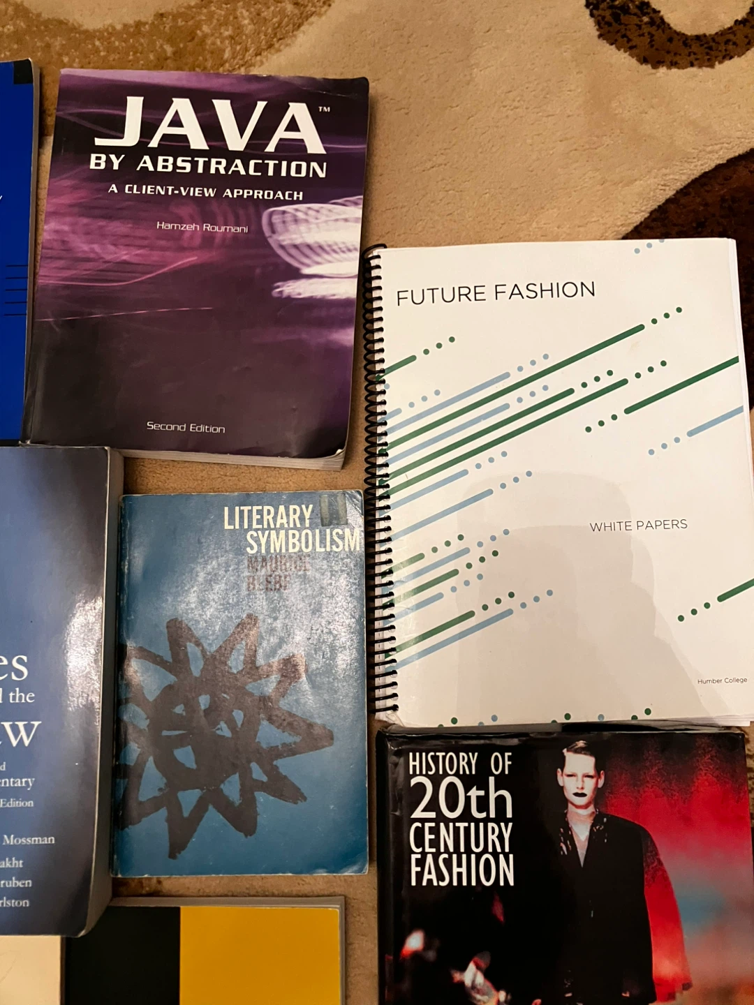 Assorted Textbooks and Study Guides - photo 3
