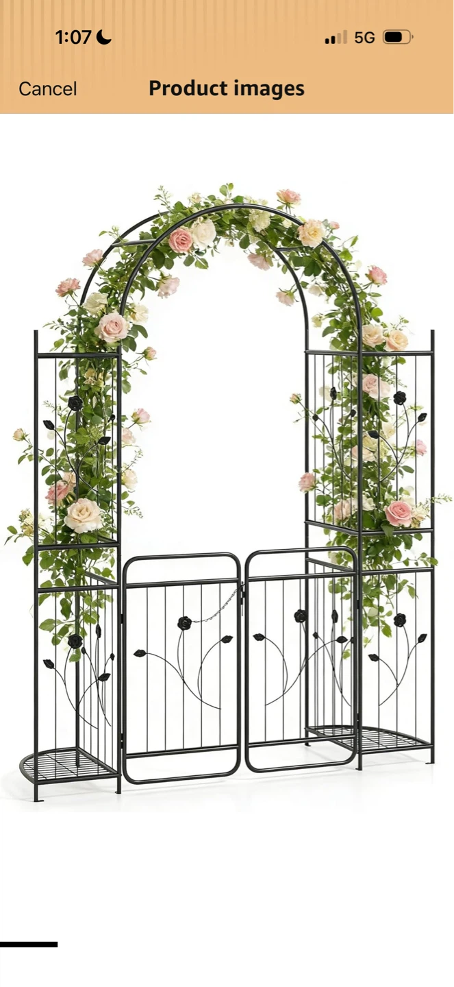Black Metal Garden Arch with Gate