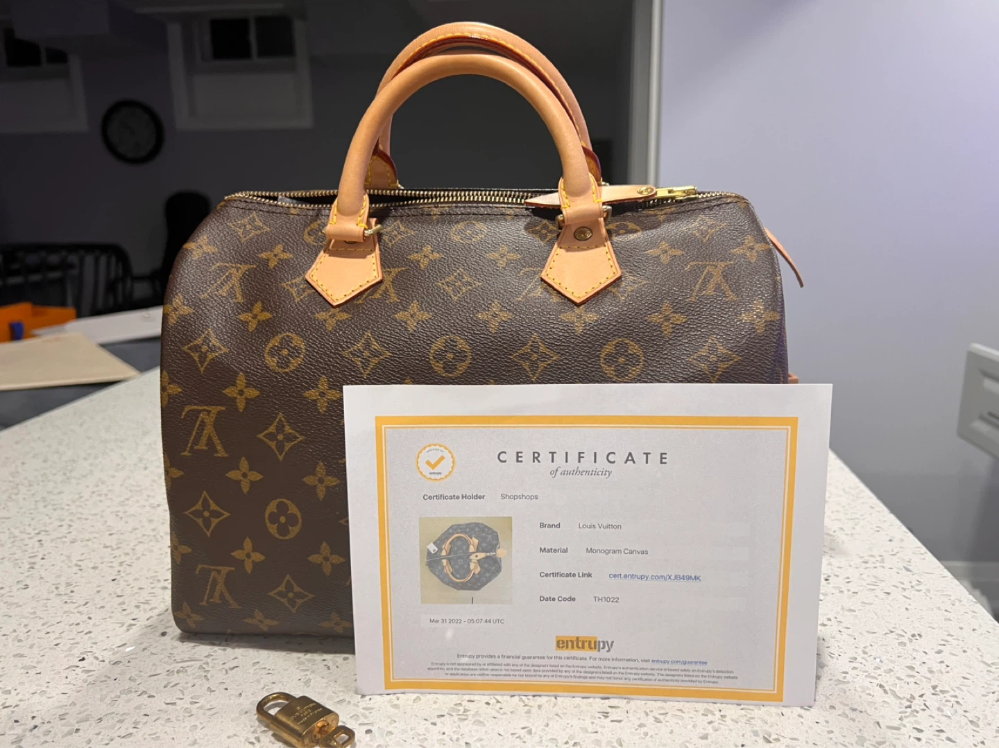 Louis Vuitton Speedy Monogram Canvas Handbag