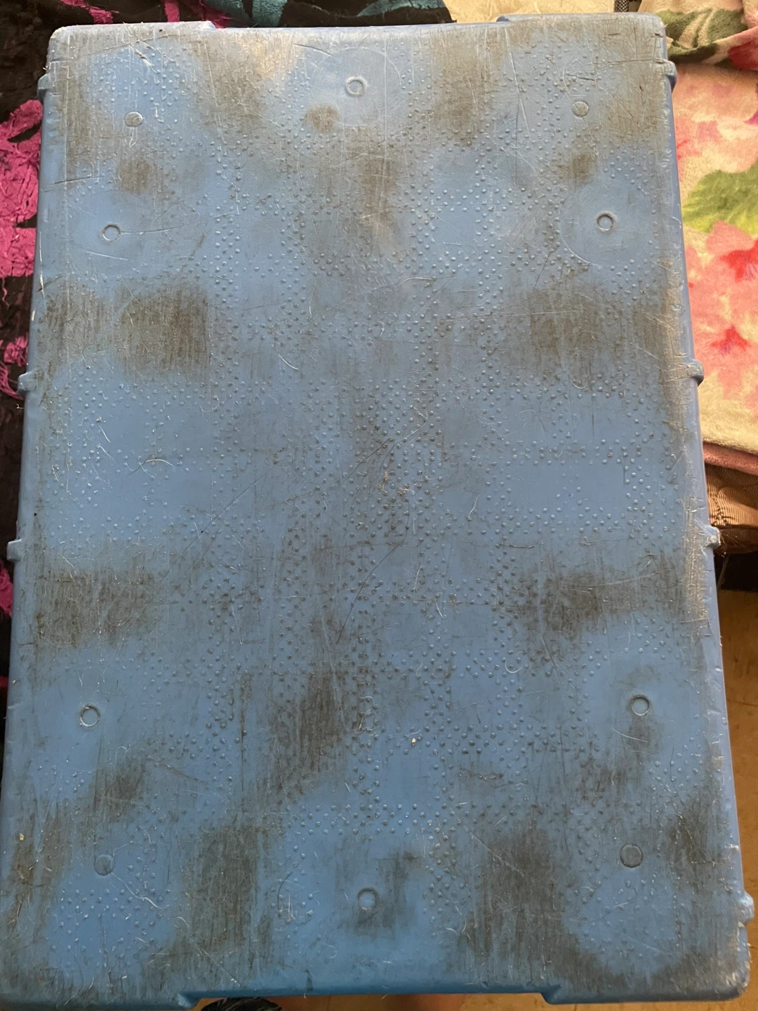 Blue Plastic Storage Bin - photo 4