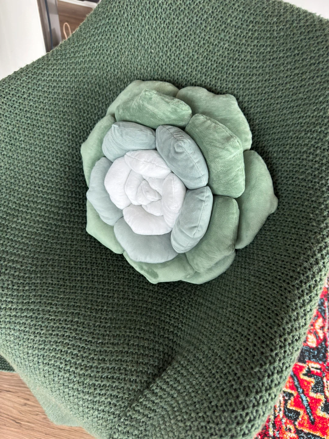 Cozy Succulent Pillow - photo 2