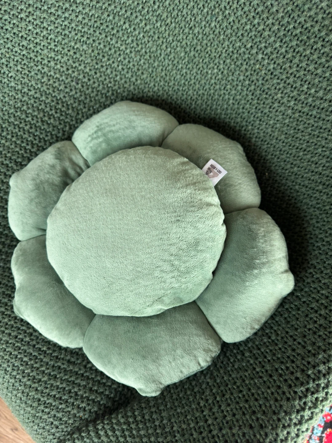 Cozy Succulent Pillow - photo 3