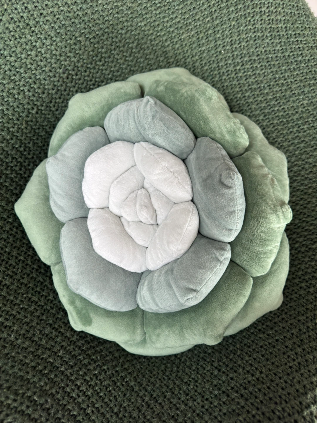 Cozy Succulent Pillow