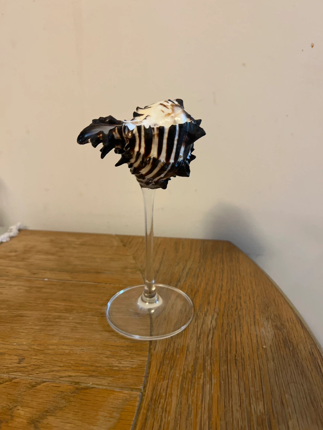 Seashell wineglass - photo 4