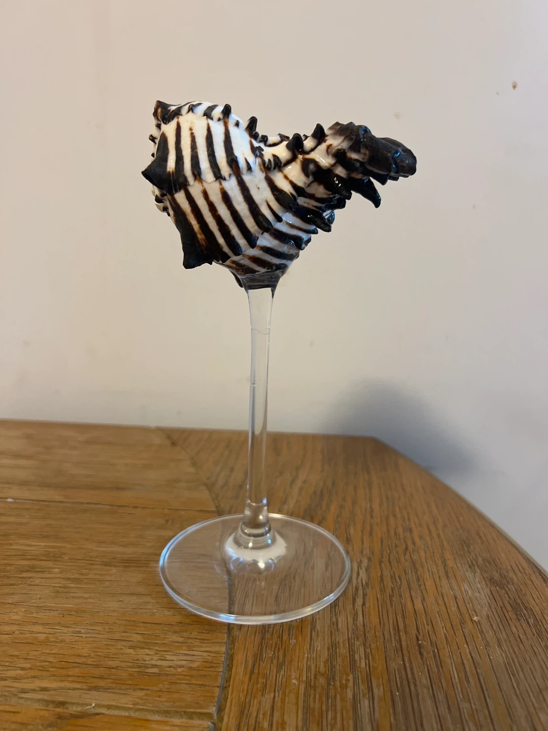 Seashell wineglass