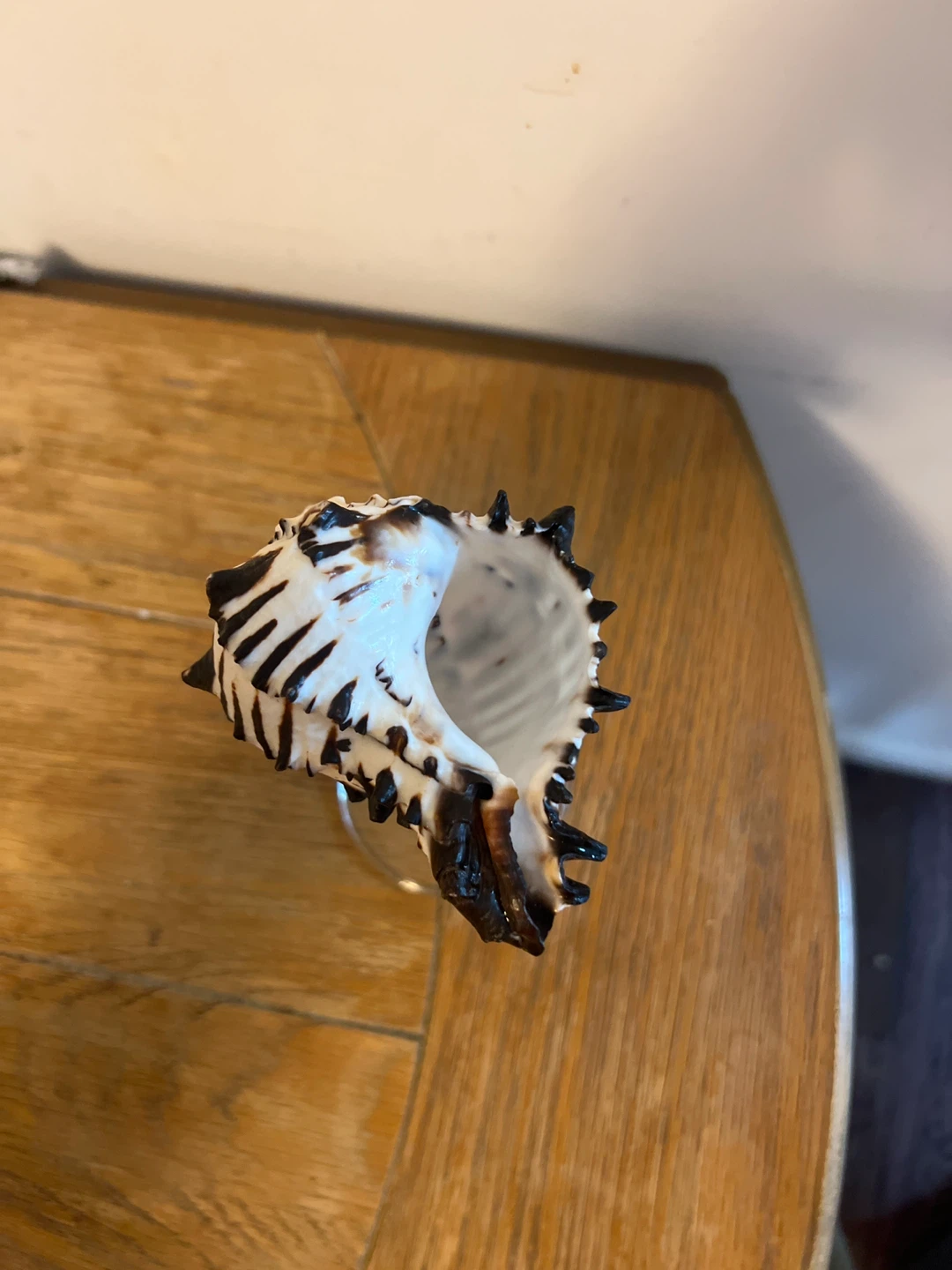 Seashell wineglass - photo 2