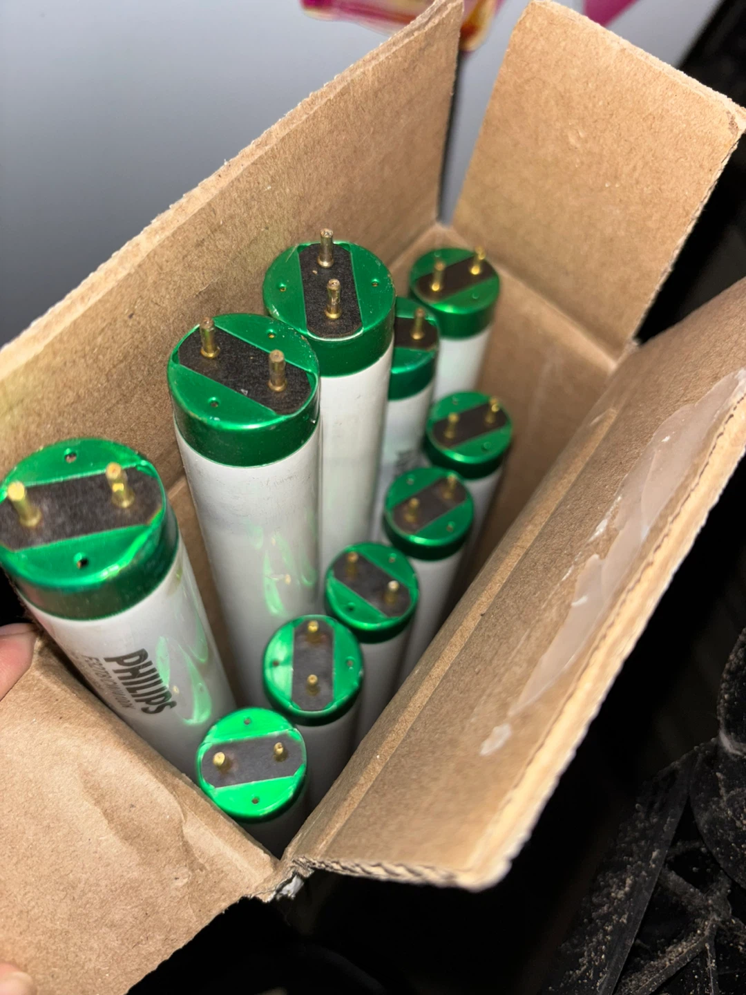 Philips Fluorescent Light Tubes (8 Count)