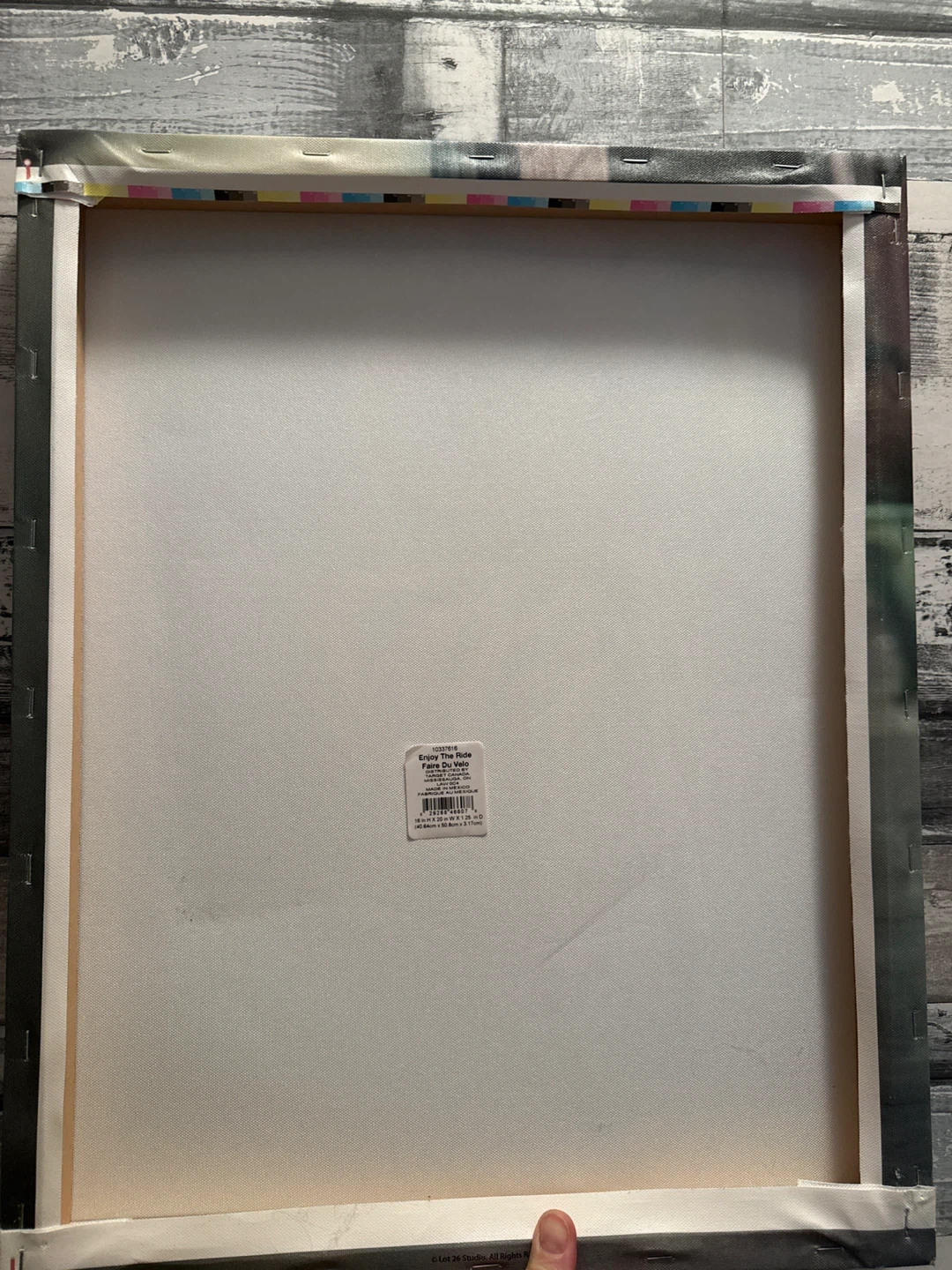 Enjoy The Ride Canvas Wall Art - photo 3