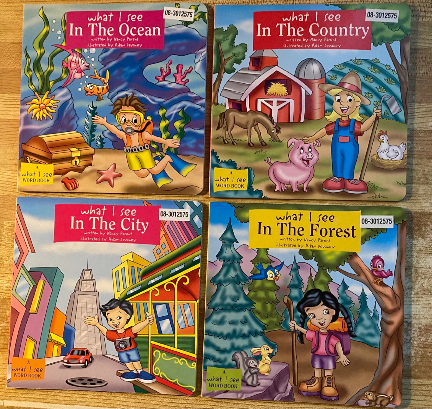 Set of 4 “What I See” boardbooks