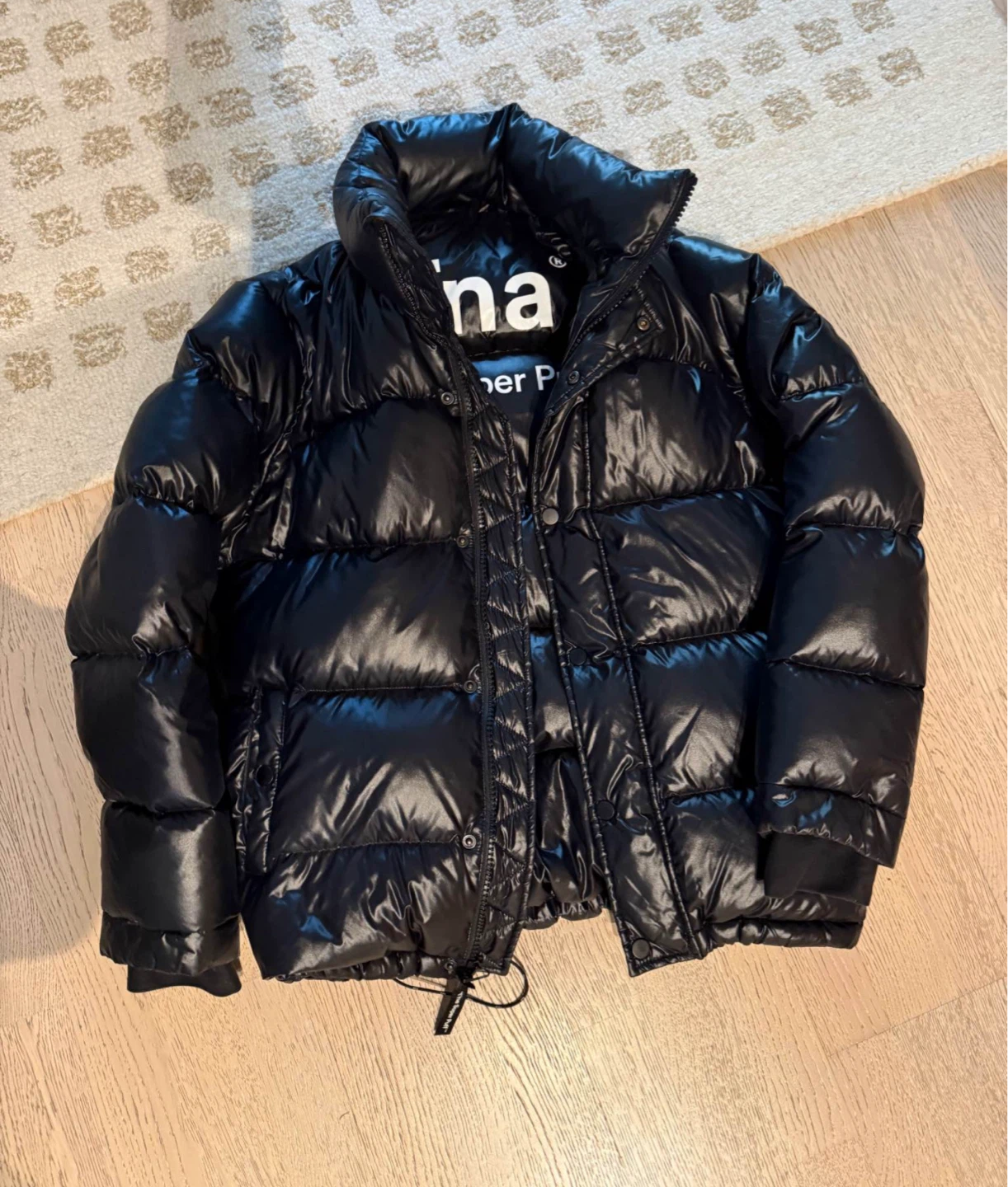 Aritzia  Super Puff Liquid Shine Puffer Jacket