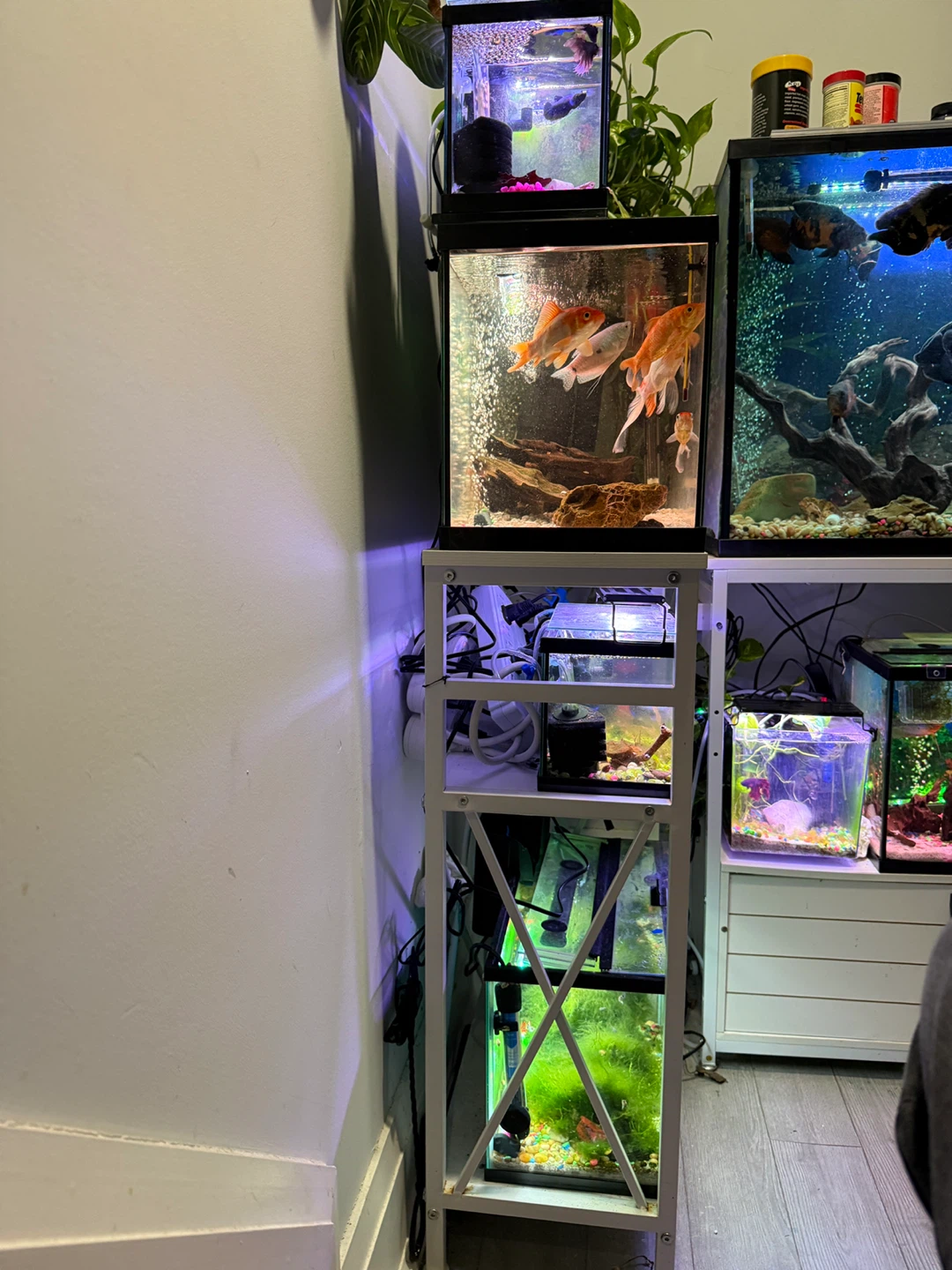 Aquarium Stand - photo 2