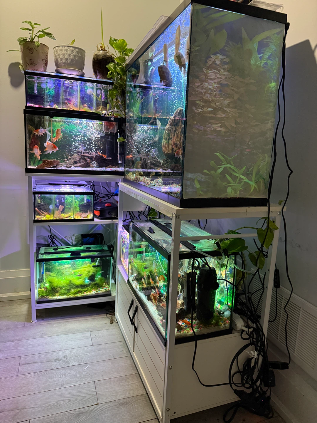 Aquarium Stand