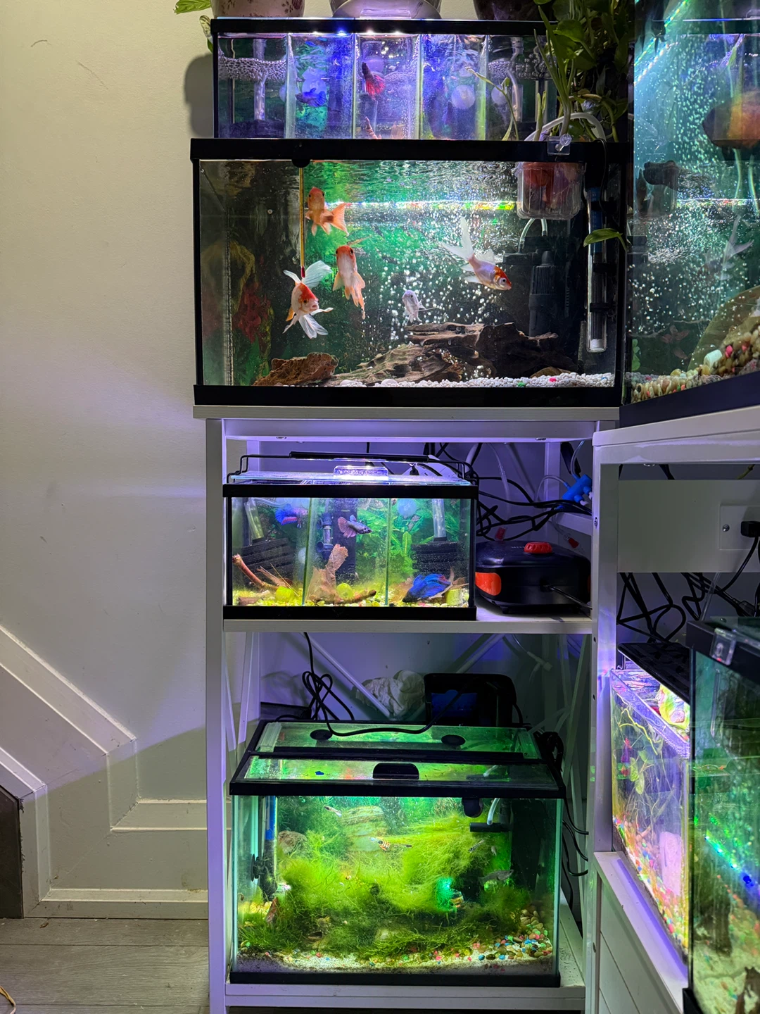 Aquarium Stand - photo 3