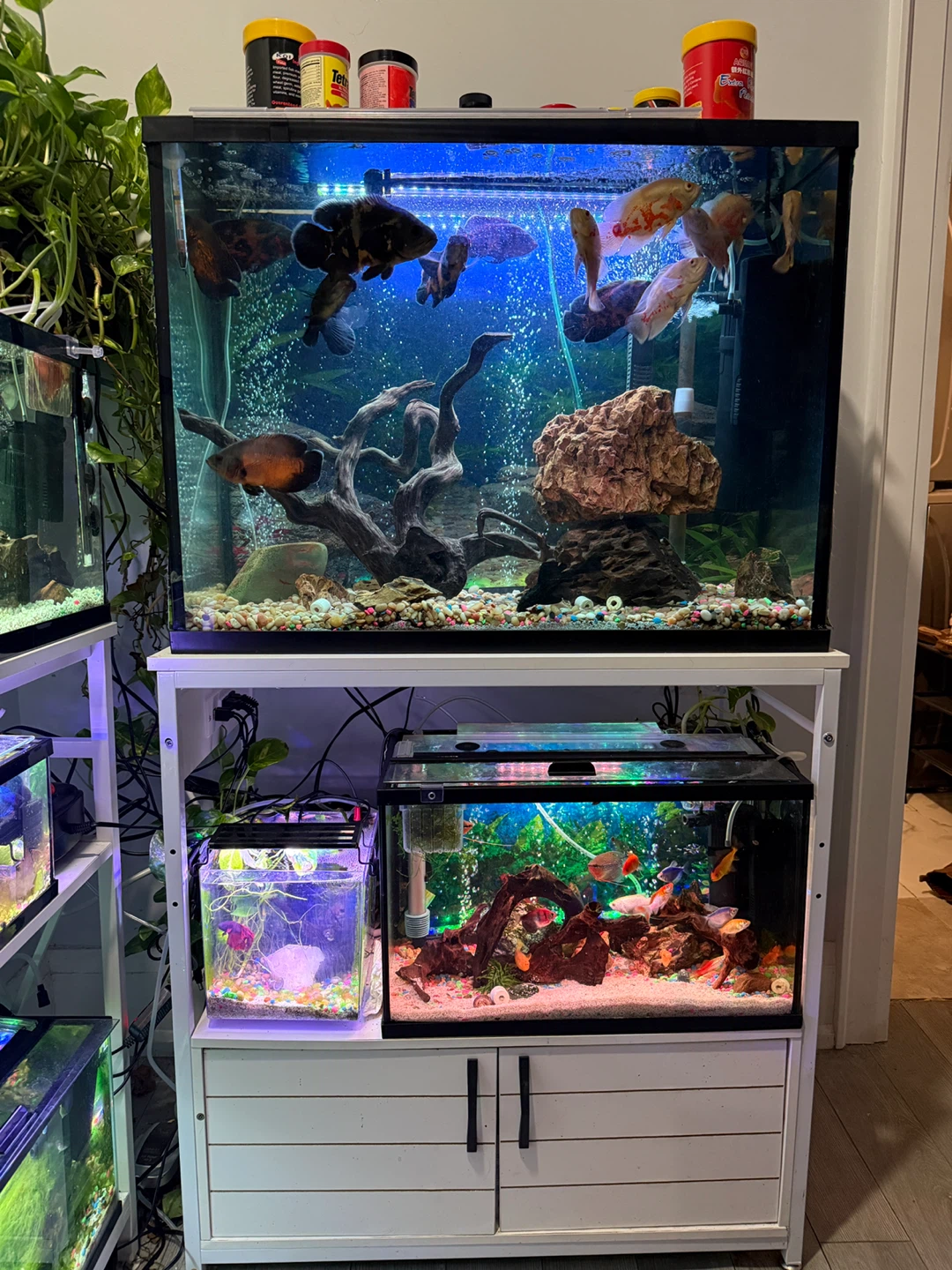 Aquarium Stand