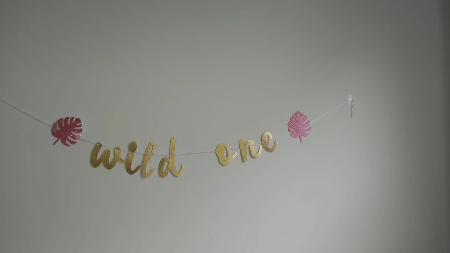 Wild One Birthday Banner and Backdrop - photo 2