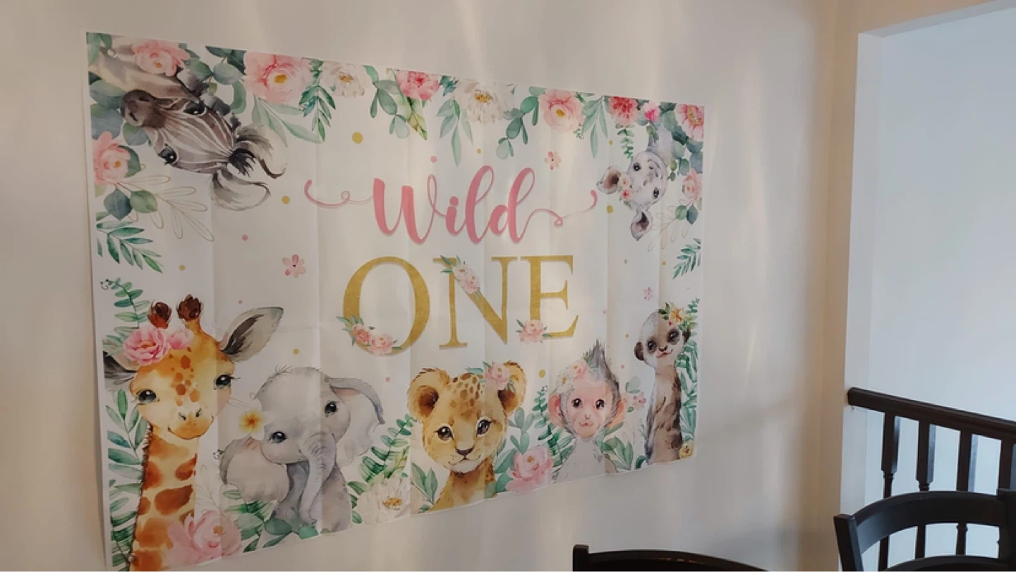 Wild One Birthday Banner and Backdrop