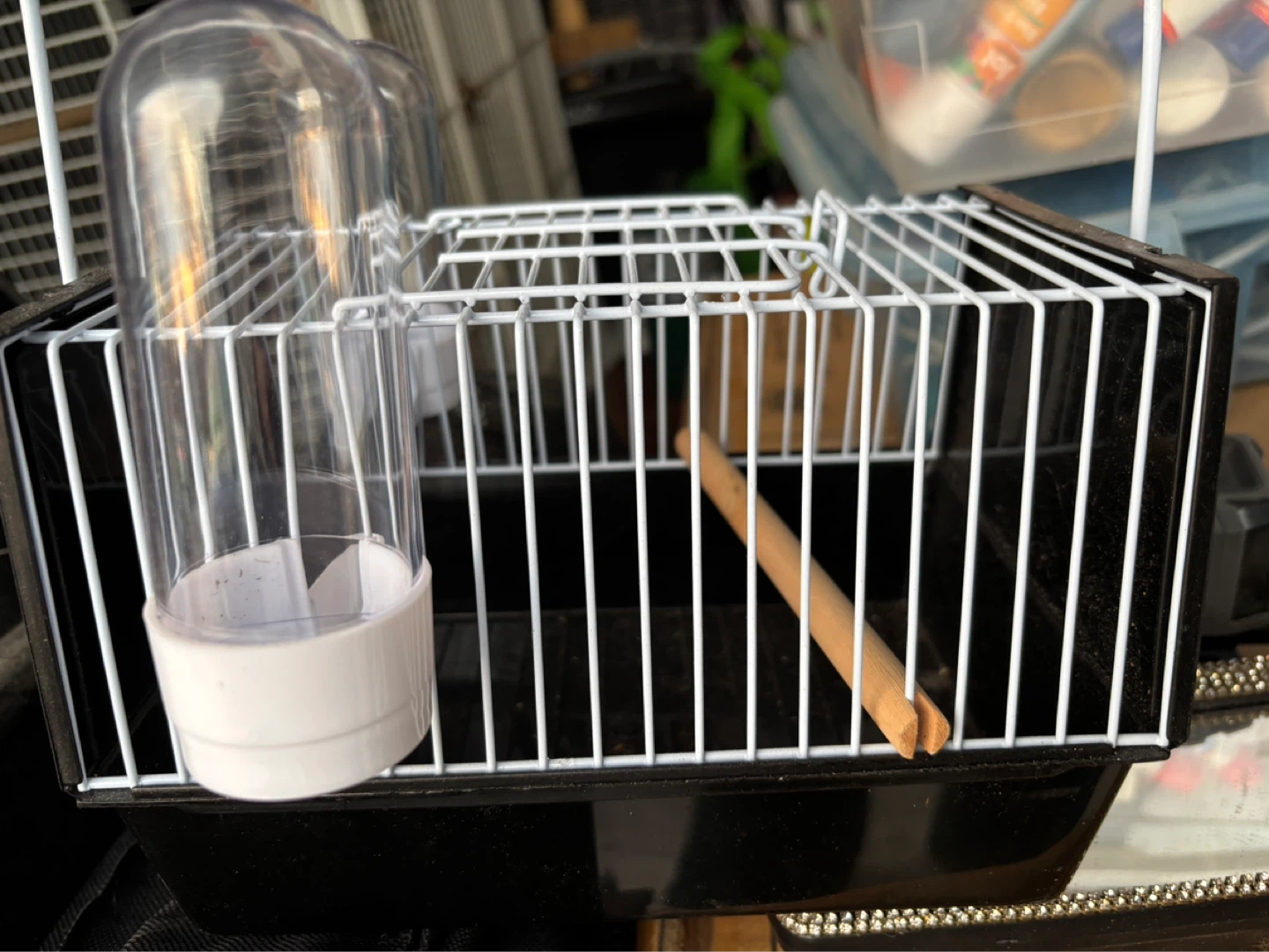 Small bird Cage with Water Bottles