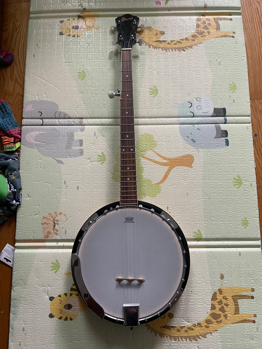 Ibanez Five String Banjo beginner