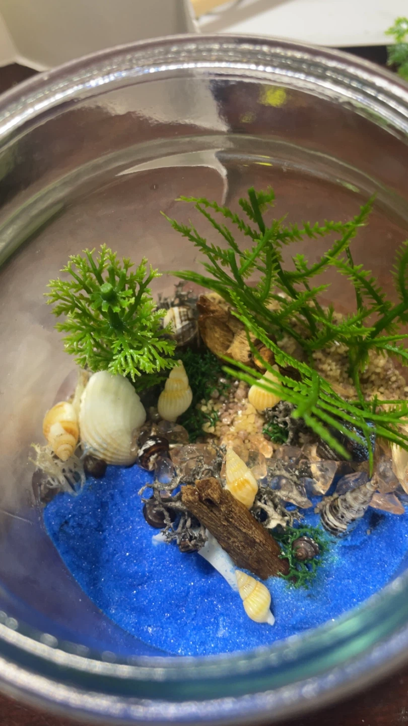 Decorative Glass Terrarium with Gnome and Seashells - photo 5