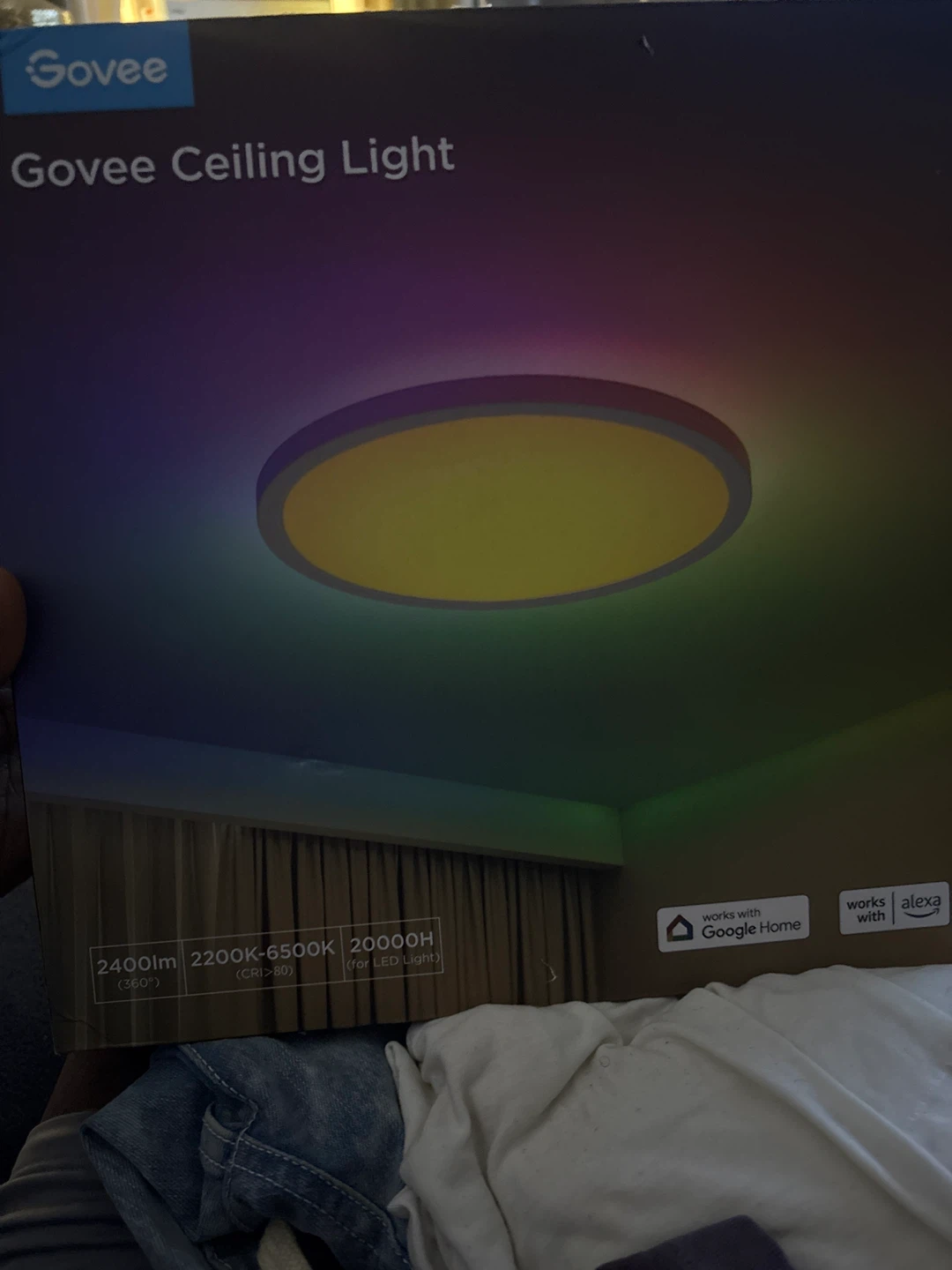 Govee Ceiling Light