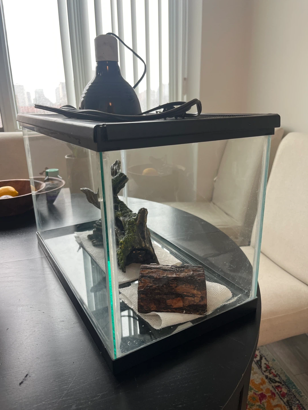 Terrarium with Heat Lamp and Decorations - photo 4