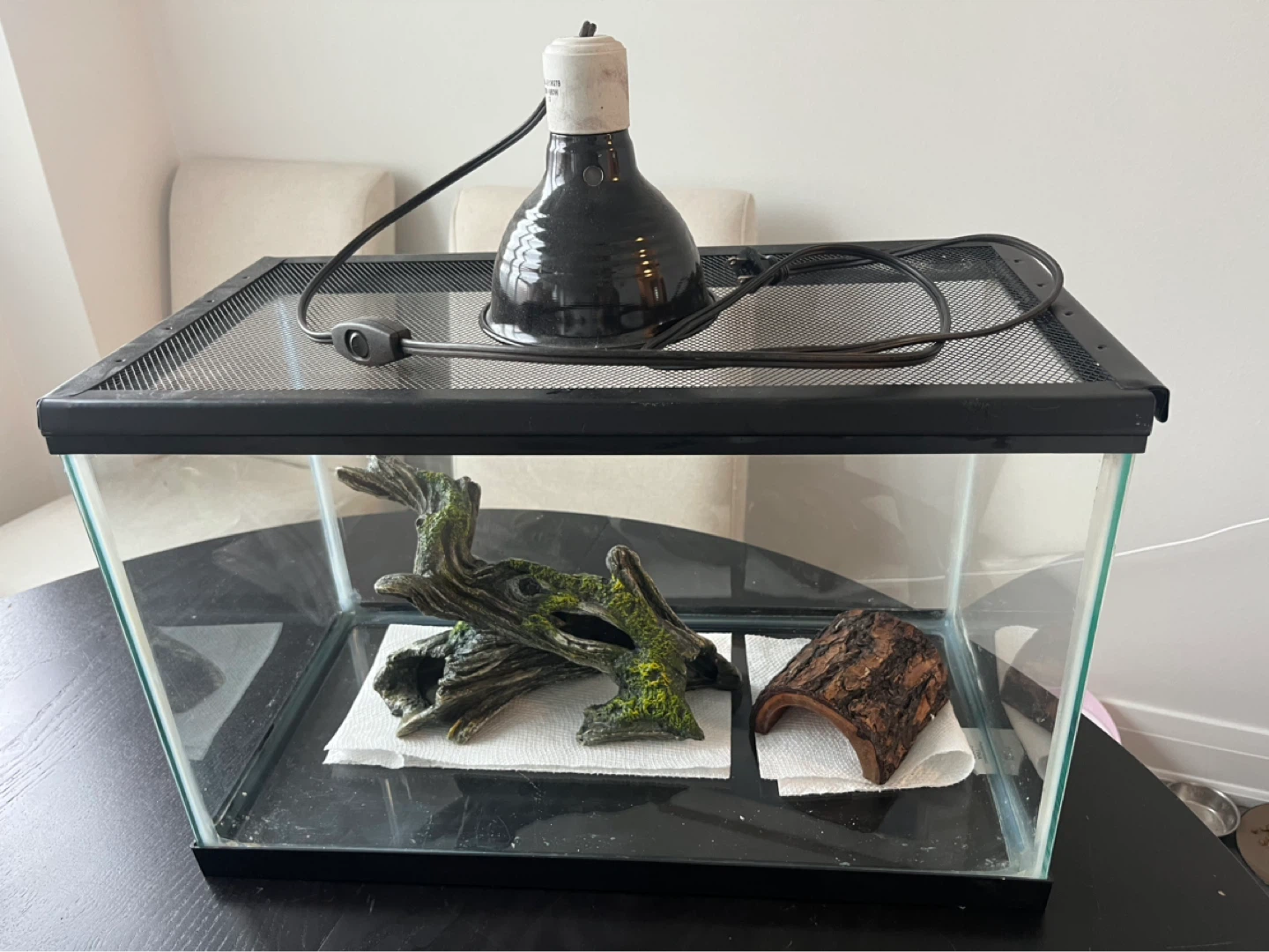 Terrarium with Heat Lamp and Decorations - photo 2