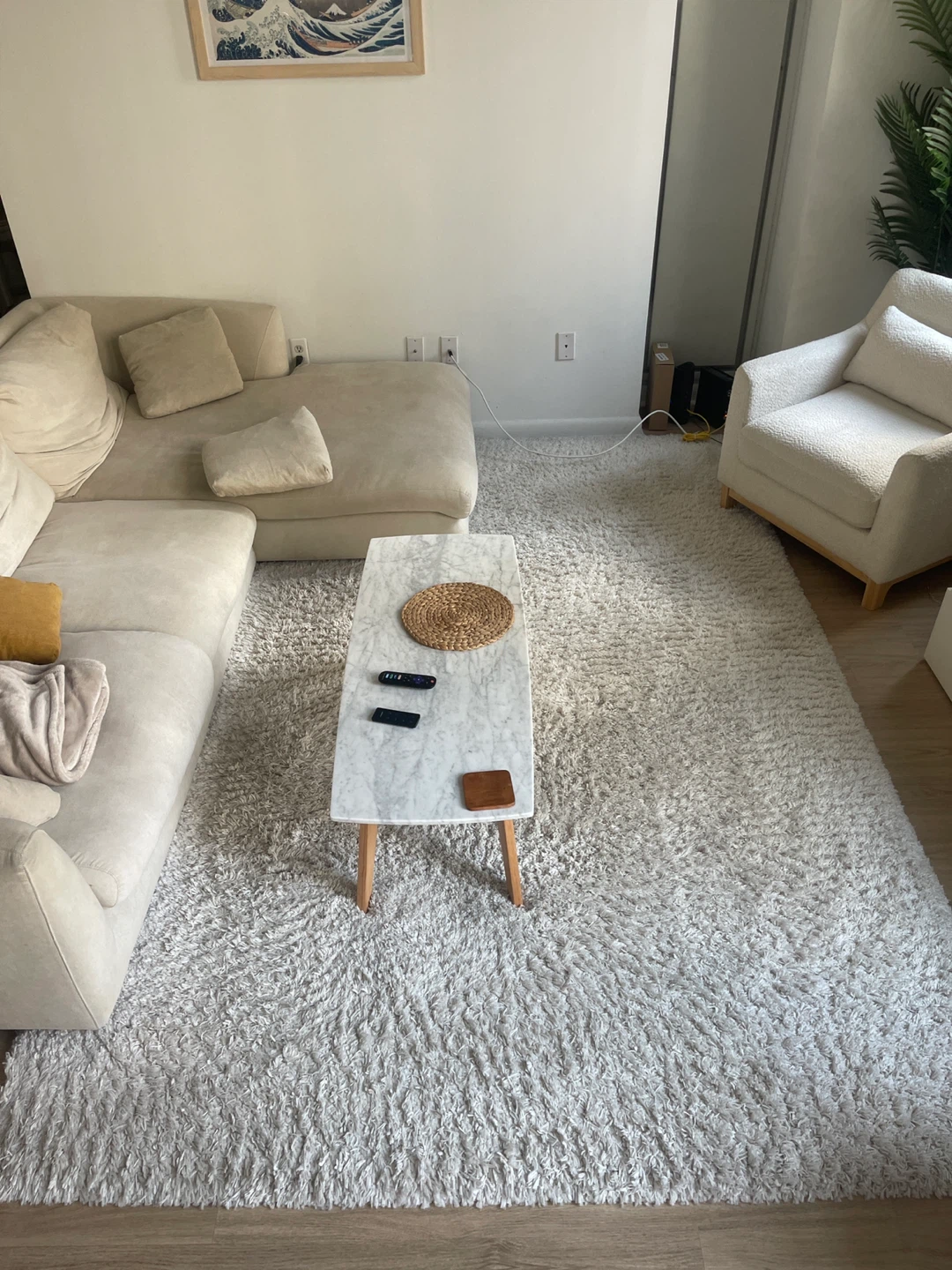 Shaggy Area Rug - White