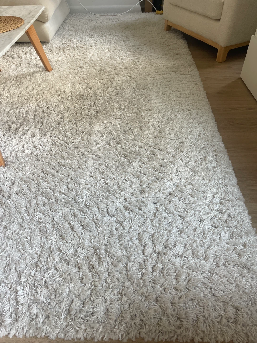 Shaggy Area Rug - White - photo 2
