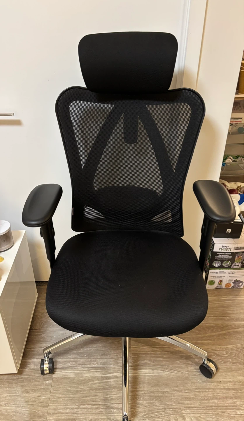 Black Ergonomic Mesh Office Chair with Headrest